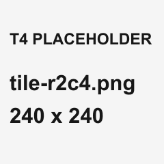 Placeholder for tile T4, a screenshot of a run's step detail: tile-r2c4.png, 240 x 240 pixels.