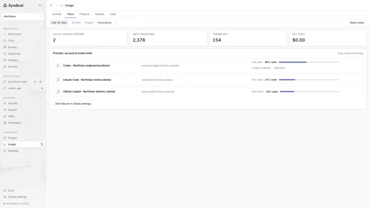 Syndical Usage on the Plans tab with fictional Codex, Claude Code and GitHub Copilot accounts and their example allowance readings.